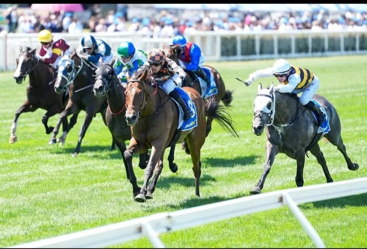 Today's Horsham Racing - Global Racing Hub